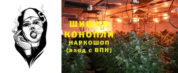 прущая мука Вязьма
