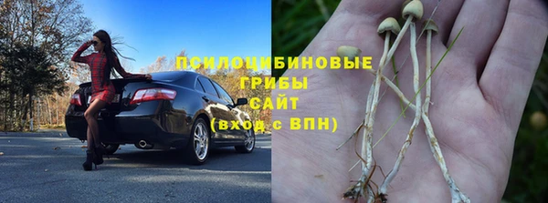 дмт Гусь-Хрустальный